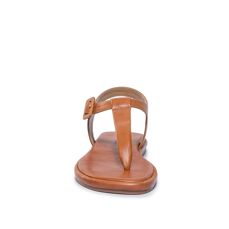 Sandálias Planas Bernardo Tucson T-Strap Feminino Marrom Escuro | DBO9197SF