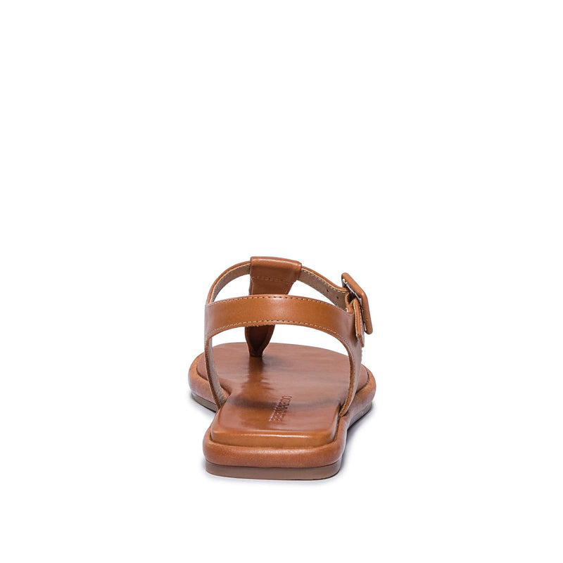 Sandálias Planas Bernardo Tucson T-Strap Feminino Marrom Escuro | DBO9197SF